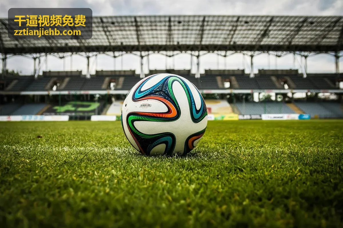 干逼视频免费国产精选高清合集